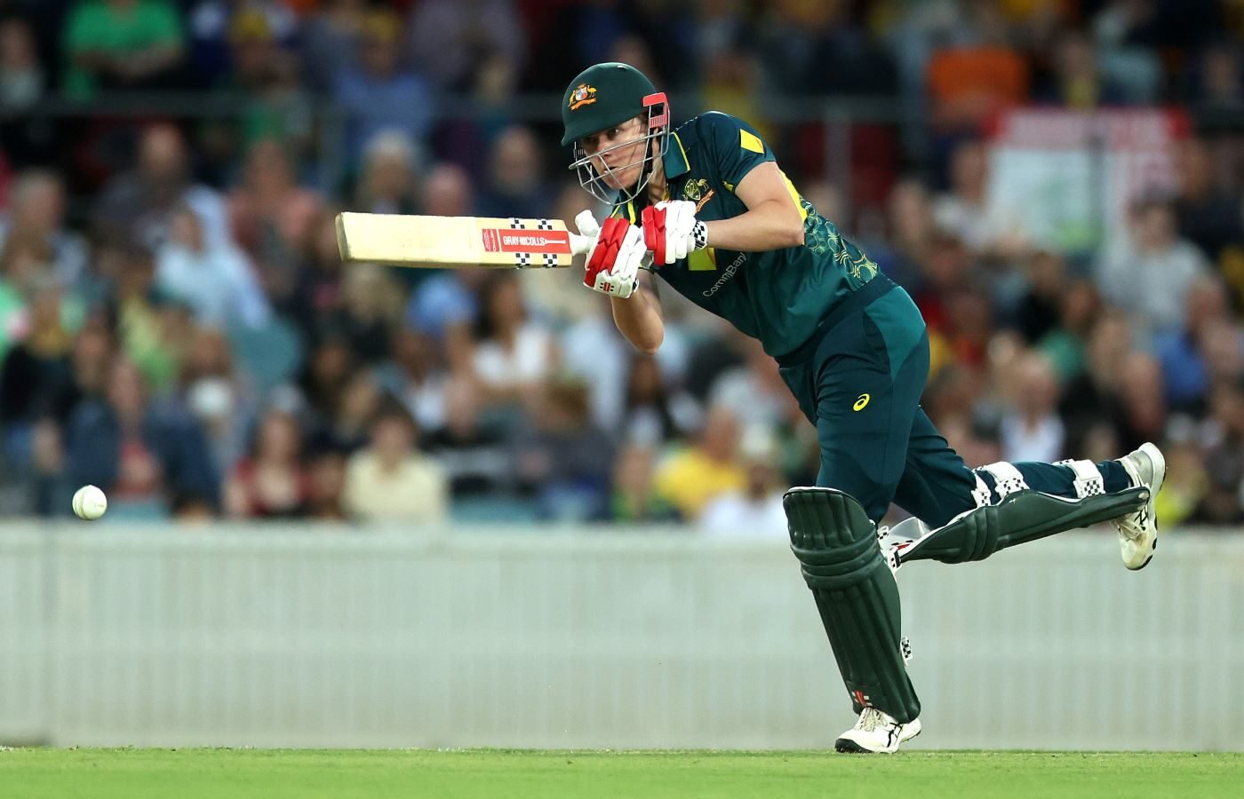 Australia bowl, McGrath replaces injured Litchfield