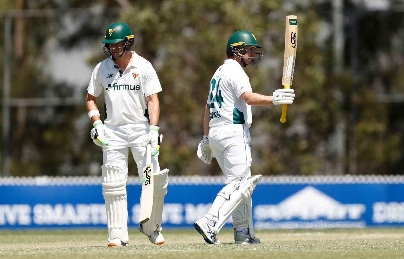 Ward, Doran, Hope help Tasmania hold off Abbott and New South Wales