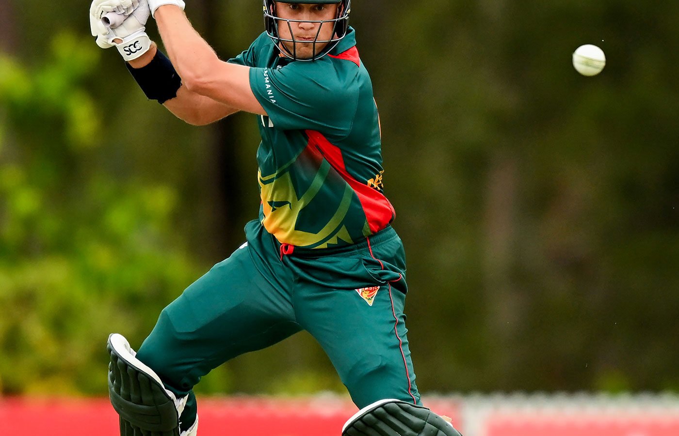 Prestwidge stars in unexpected role as Tasmania topple NSW
