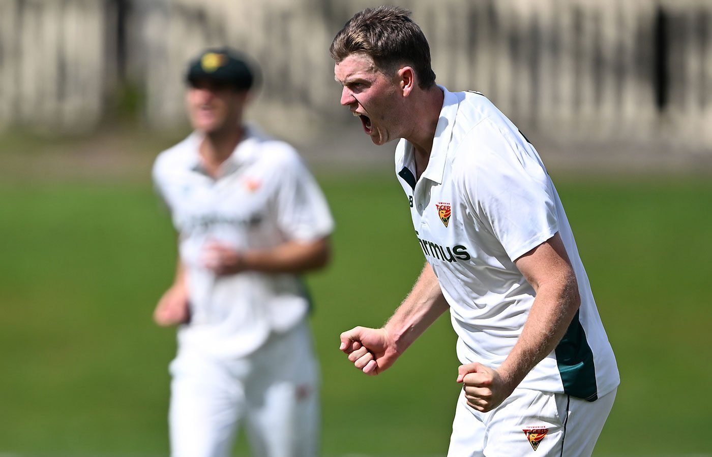 Wickets tumble in Hobart to leave contest evenly poised